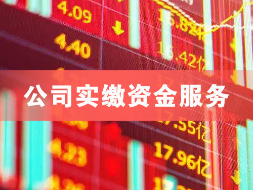 丽水公司实缴资金服务