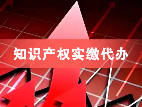 丽水知识产权实缴资本代办